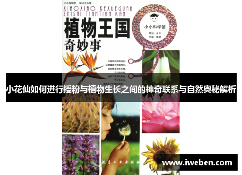 小花仙如何进行授粉与植物生长之间的神奇联系与自然奥秘解析